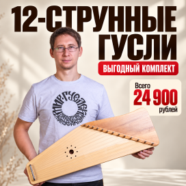 12‑струнные гусли — выгодный комплект.png